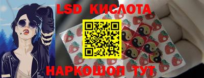 амф Можга