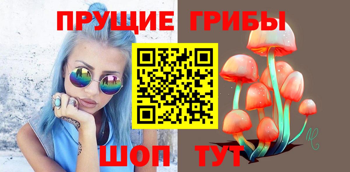 Галлюциногенные грибы Psilocybe  наркошоп  Трёхгорный  Вход с VPN 
